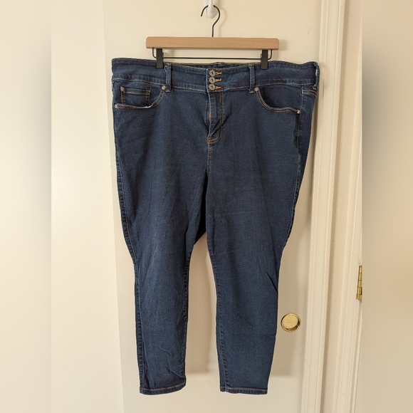 torrid Denim - Torrid Indigo Skinny Jeans